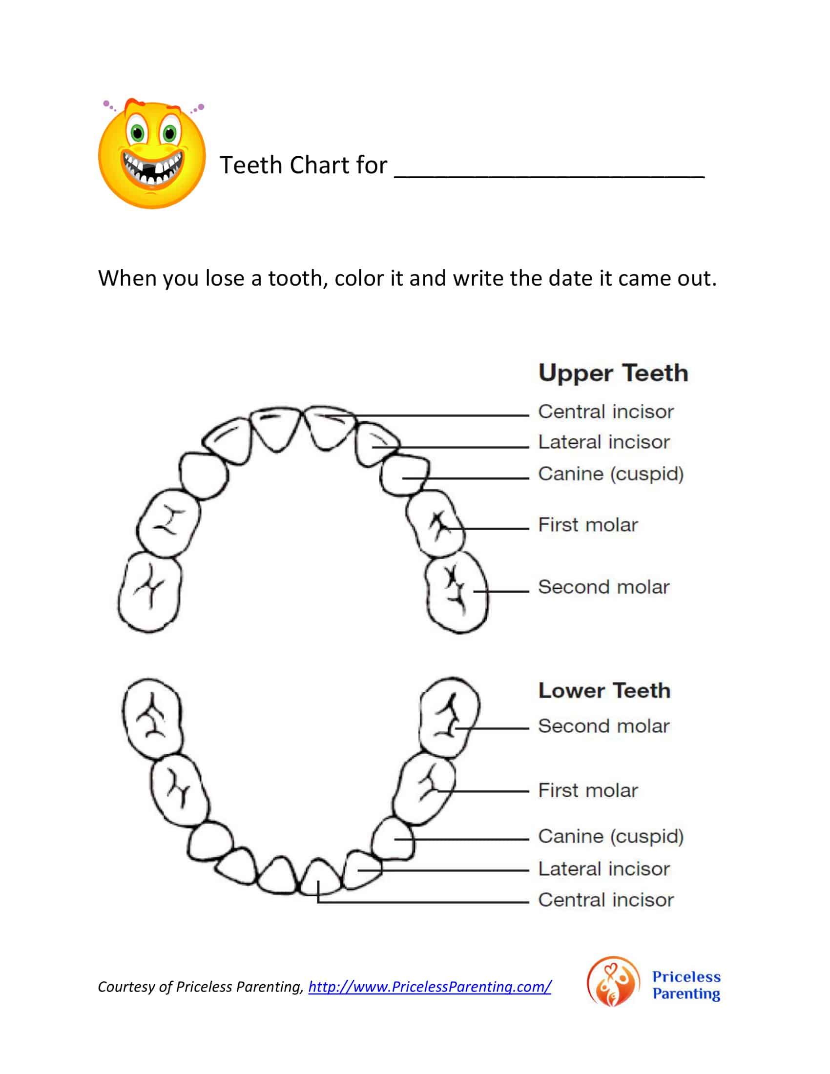 Outline Graph Labels Blank Dental Patient Chart Template | Laptop Store