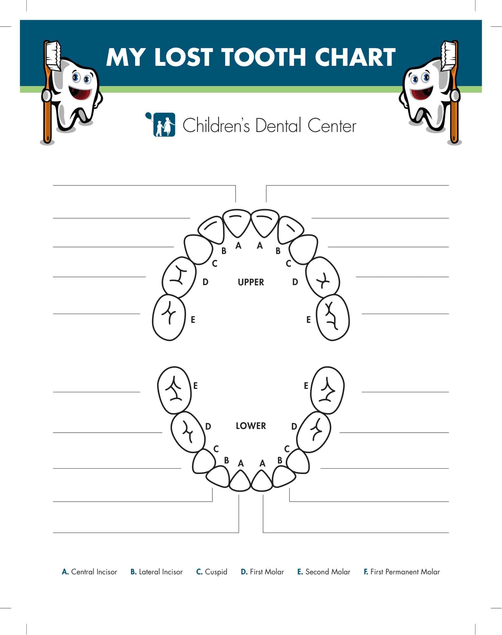 Printable Tooth Number Chart Reference | Laptop Store